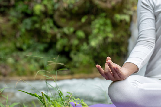 natural wellness solutions
