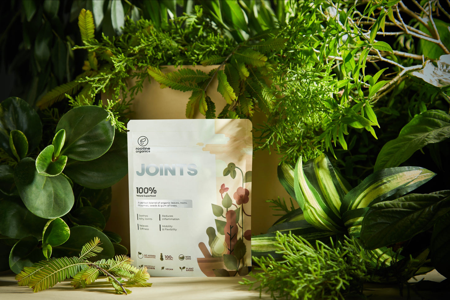 JOINTS– Natural Ayurveda Products