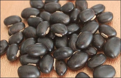 Mucuna pruriens