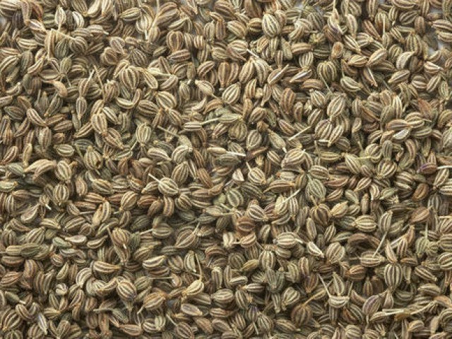 Carum Copticum – Rootine Organics