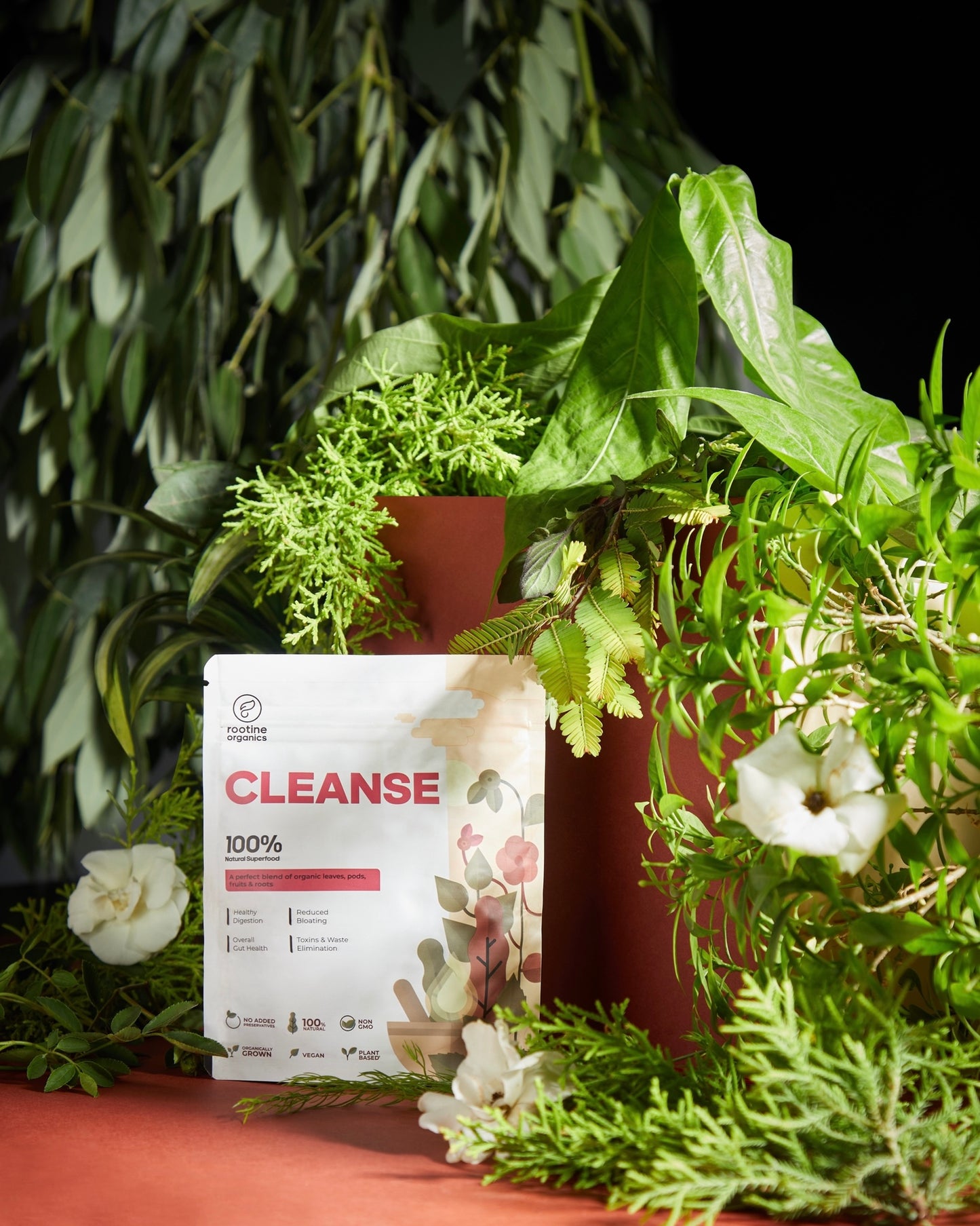 CLEANSE – Health Herbal Solution