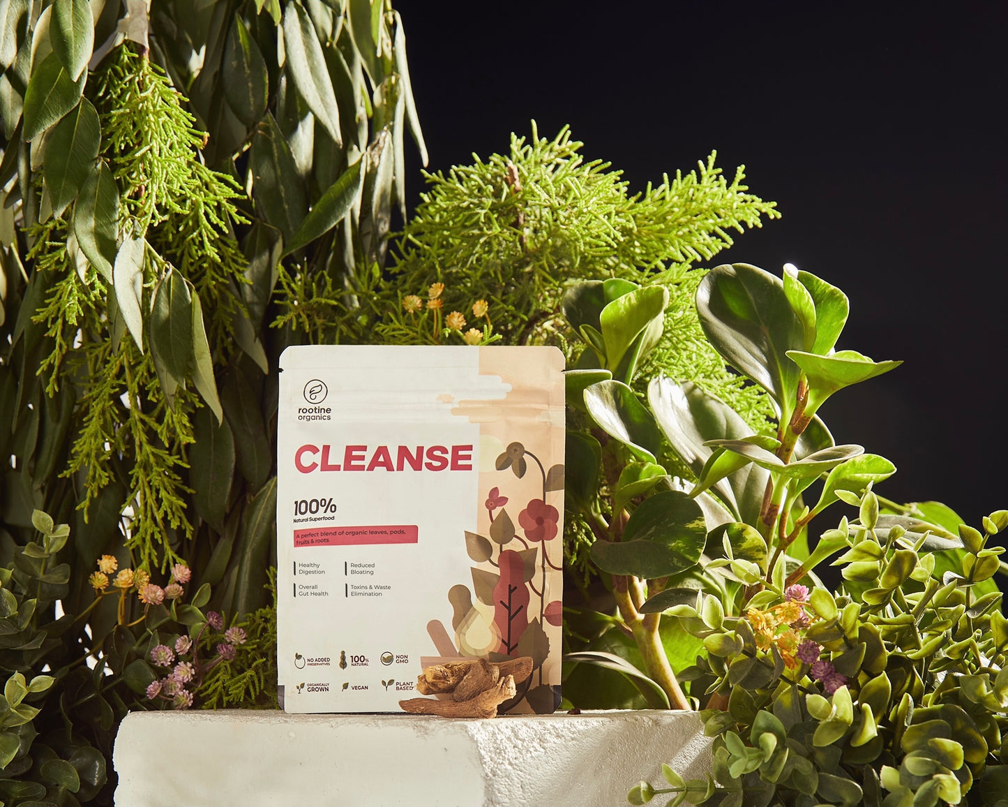 CLEANSE -Natural Wellness Solution