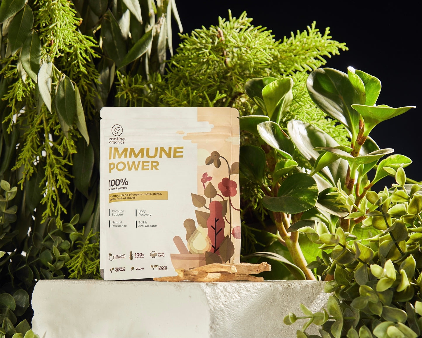 IMMUNE POWER – Natural Ayurveda Products