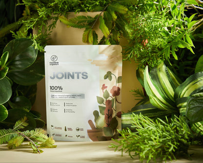 JOINTS-Natural Wellness Solution